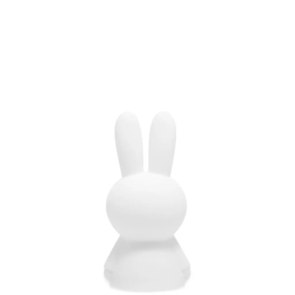 Mr Maria Miffy Bundle of Light