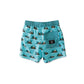 Hello Stranger Epic Life Board Short Seafoam