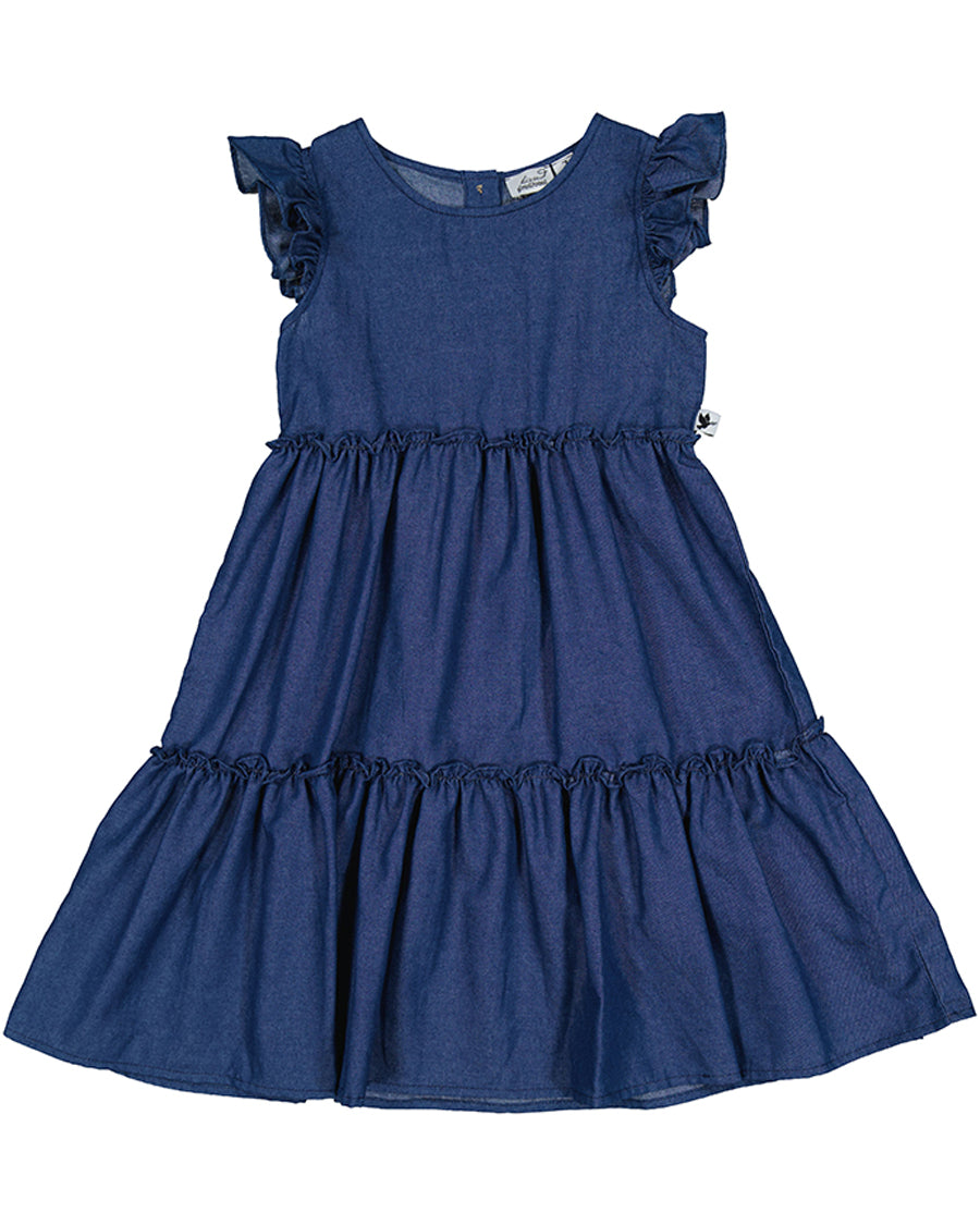 Radicool Chambray Jasmine Dress