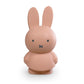 Atelier Pierre Miffy Money Box Powder 19cm