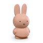 Atelier Pierre Miffy Money Box Powder 19cm