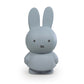 Atelier Pierre Miffy Money Box Silver Blue 19cm