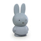 Atelier Pierre Miffy Money Box Silver Blue 19cm