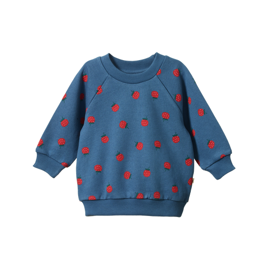 Nature Baby Emerson Sweater Raspberry Blue Print