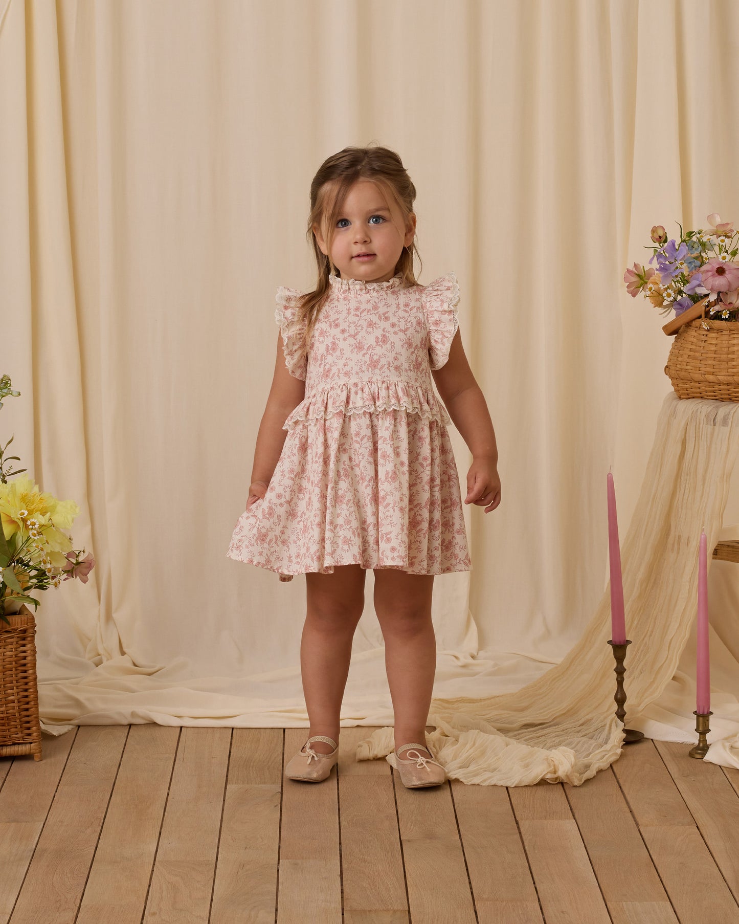 Noralee Alice Dress Pink Toile