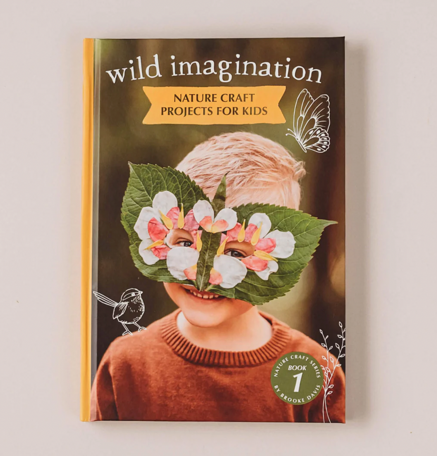 Wild Imagination Book