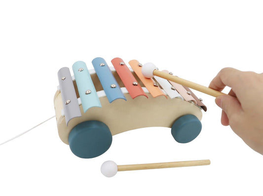 Rainbow Pull Along Xylophone